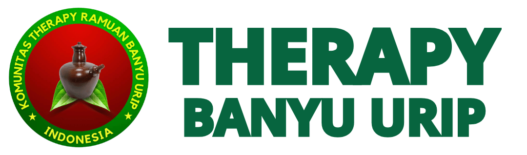 Logo Web